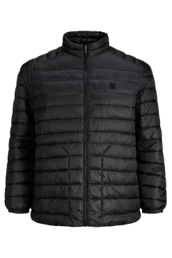 Jack & Jones PLUS Casacos-Blusão acolchoada leve PLUS preto