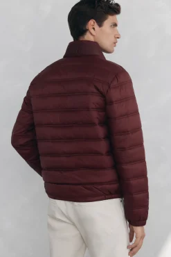 Pedro del Hierro Casacos|Sobretudos-Blusão acolchoado ultralight Bordeaux