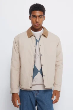 Springfield Casacos-Blusão de gola de veludo cotelê bege