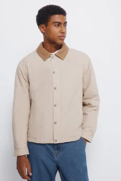 Springfield Casacos-Blusão de gola de veludo cotelê bege