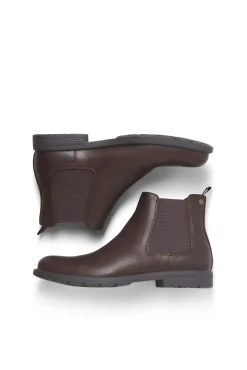 Jack & Jones Botas-Botas Chelsea castanho