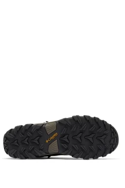 Columbia Botas-Botas Impermeáveis Newton Ridge Plus II para homem castanho