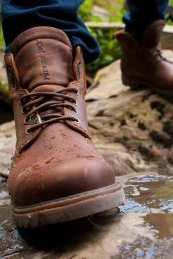 Panama Jack Botas|Botins-Botim de homem em pele napa Castanho