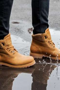 Panama Jack Botas|Botins-Botim de homem em pele napa Dourado
