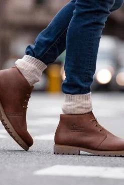 Panama Jack Botas|Botins-Botim de homem em pele napa Castanho