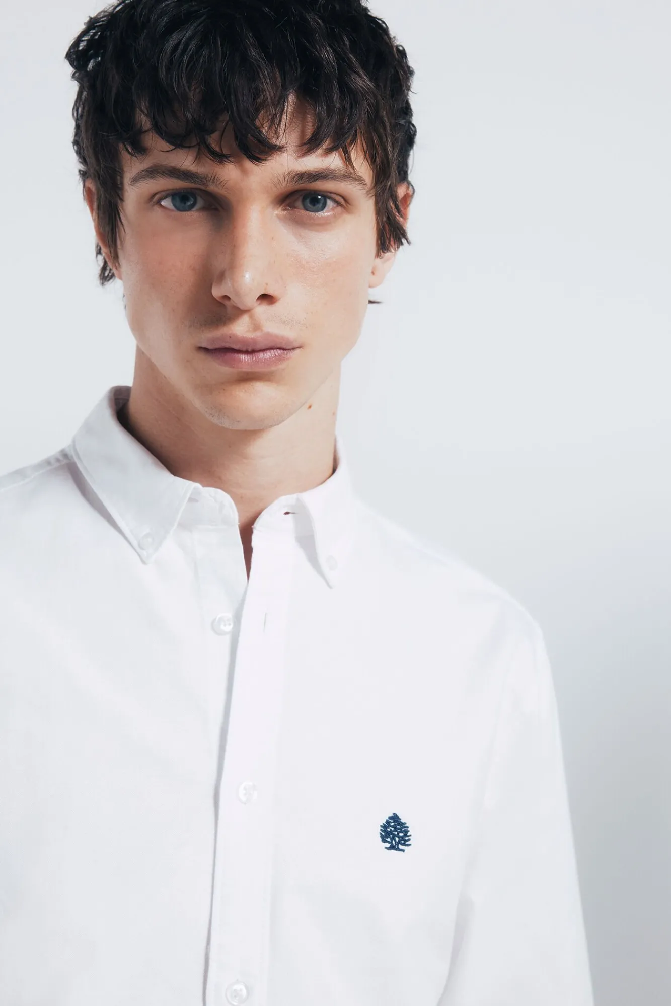 Springfield Camisas-Camisa Oxford branco