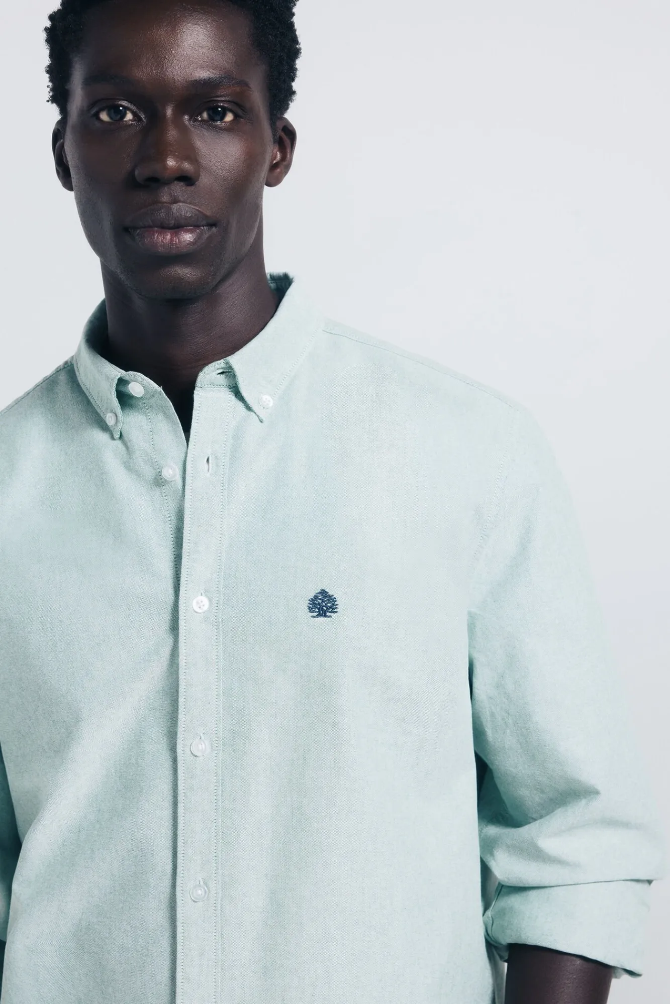 Springfield Camisas-Camisa Oxford verde