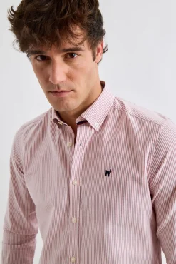 Williot Camisas-Camisa Oxford Listrada Subiu
