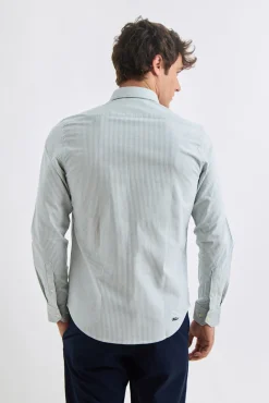 Williot Camisas-Camisa Oxford Listrada Verde