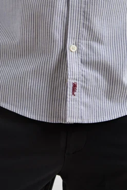 Williot Camisas-Camisa Oxford Listrada Azul