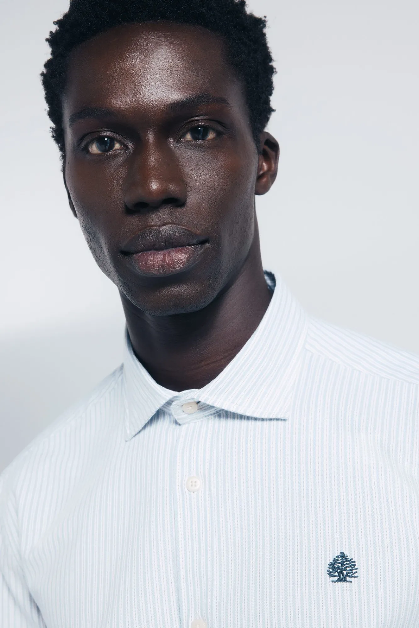 Springfield Camisas-Camisa oxford riscas azul