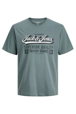 Jack & Jones PLUS T-Shirts-Camiseta PLUS de corte regular cinzento