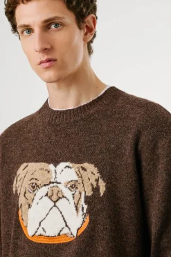 Pepe Jeans Camisolas-Camisola de malha Phelan castanho