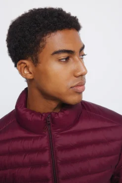 Springfield Casacos-Casaco acolchoada estampado