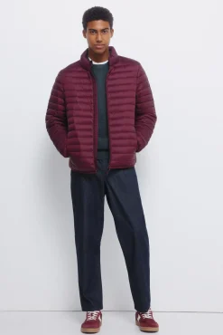 Springfield Casacos-Casaco acolchoada estampado