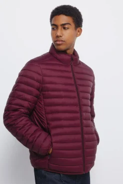 Springfield Casacos-Casaco acolchoada estampado