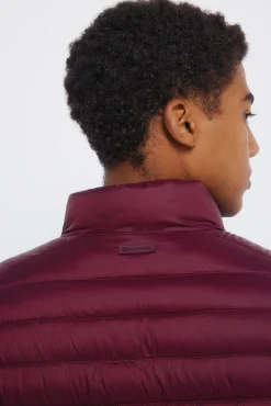 Springfield Casacos-Casaco acolchoada estampado