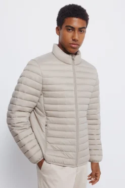 Springfield Casacos-Casaco acolchoada cru