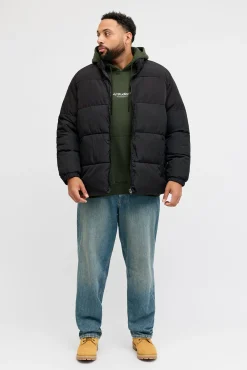 Jack & Jones PLUS Casacos-Casaco acolchoada masculina preto