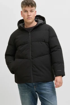 Jack & Jones PLUS Casacos-Casaco acolchoada masculina preto