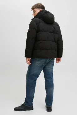 Jack & Jones PLUS Casacos-Casaco acolchoada masculina preto