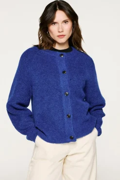 Selected Camisolas-Casaco de malha de lã e alpaca. Azul