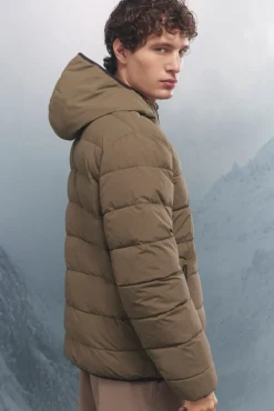 Springfield Casacos-Casaco térmica acolchoada cru