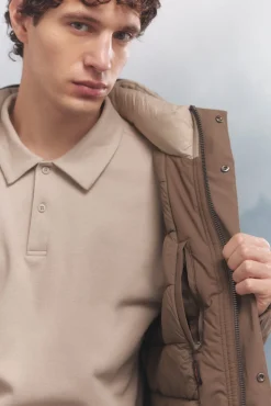 Springfield Casacos-Casaco térmica acolchoada cru