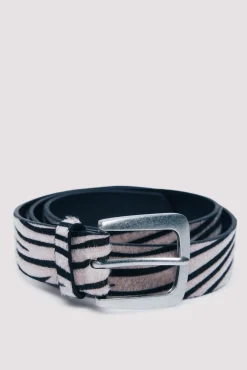 Springfield Cintos-Cinto zebra médio preto