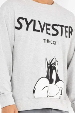 Gisela Pijamas-Conjunto de pijama masculino Sylvester em malha malha cinzento