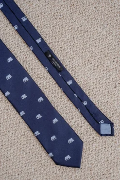 Celopman Gravatas-Desenho de gravata azul