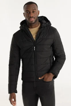 Lois Casacos-Jaqueta acolchoada preto