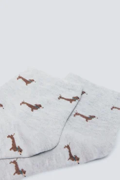 Springfield Meias-Meia curtas para cães cinzento