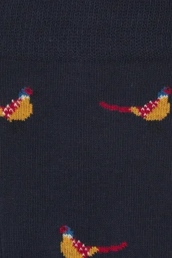 Kiff-Kiff Meias-Meia masculina de meia regular azul