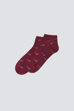 Springfield Meias-Meias curtas para cães estampado