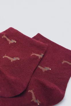 Springfield Meias-Meias curtas para cães estampado