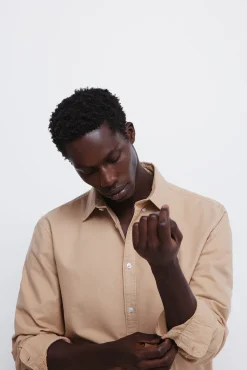 Springfield Camisas-Peça oxford tingida castanho