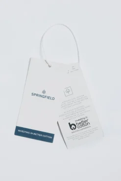 Springfield Camisas-Riscas Oxford listrada verde