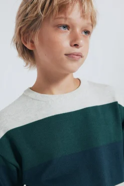 Springfield Kids Malhas-Suéter riscas básico para meninos verde