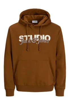 Jack & Jones Sweatshirts-Sweatshirt Capuz castanho