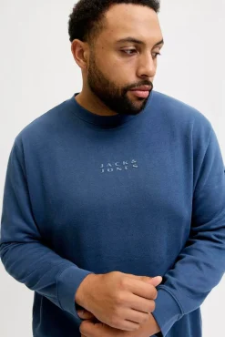 Jack & Jones PLUS Sweatshirts-Sweatshirt com capuz e logo azul