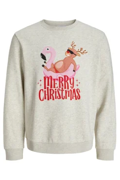 Jack & Jones Sweatshirts-Sweatshirt de gola redonda de Natal branco