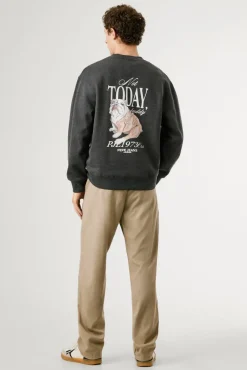 Pepe Jeans Sweatshirts-Sweatshirt Terry cinzento