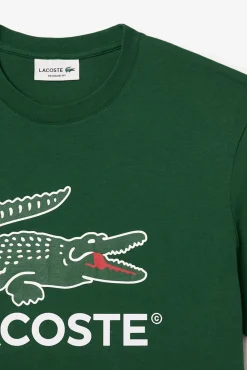 Lacoste T-Shirts-T-shirt com estampado de assinatura em malha de algodão Verde