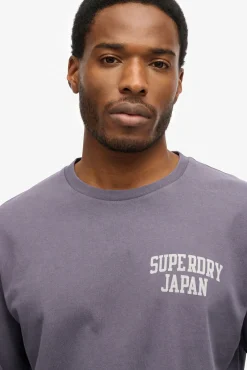 Superdry T-Shirts-T-shirt decote redondo cinzento