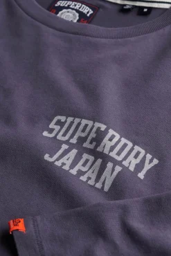 Superdry T-Shirts-T-shirt decote redondo cinzento